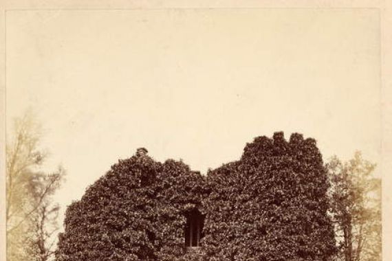 Edward Wormald