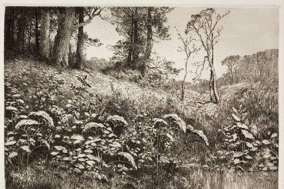 Elis F. Miller