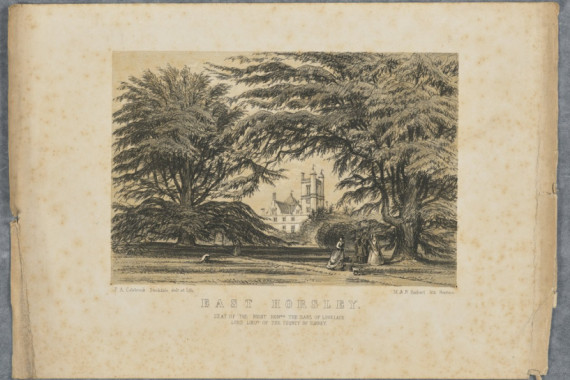 F. A. Colebrook