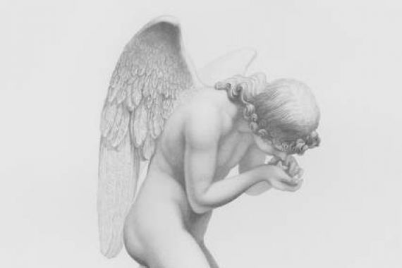 F. Roffe