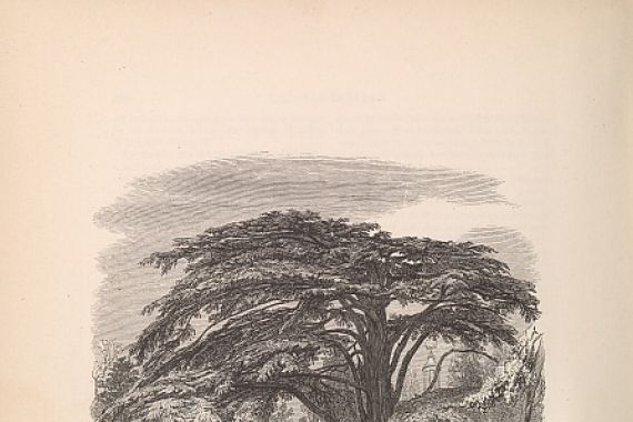 Francois Boitard