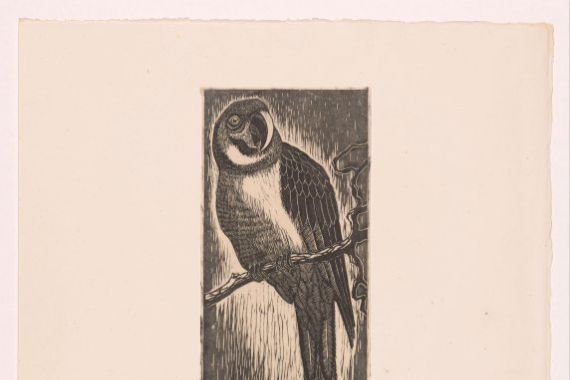 Frans Bosen