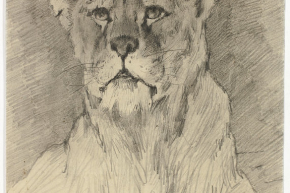 Frederik William Zurcher