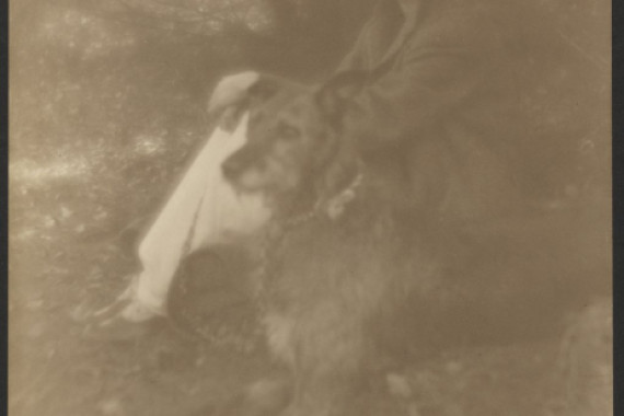 George H. Seeley