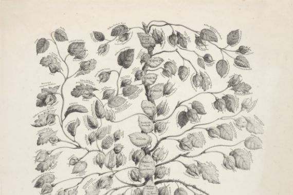 Hermanus Johannes Abbring