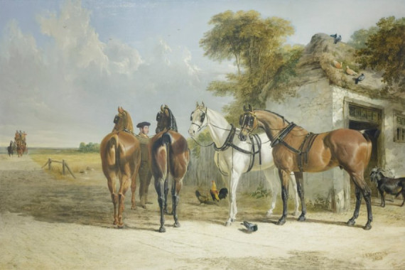 John Frederick Senior Herring