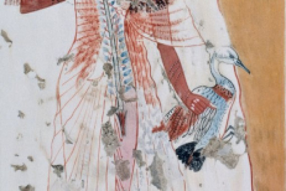 Nina de Garis Davies