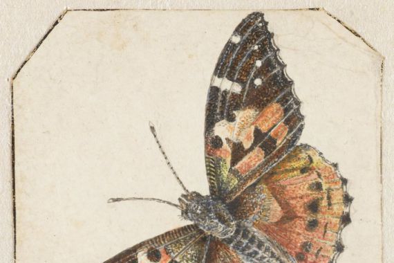Pieter Barbiers (possibly)
