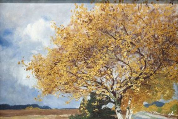 Rudolf Hermanns