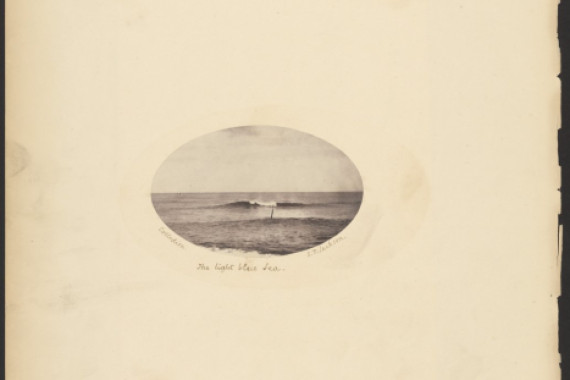 S. P. Jackson