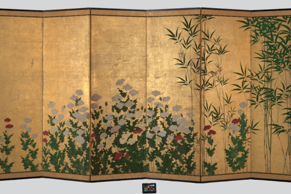 Shigenobu Kano