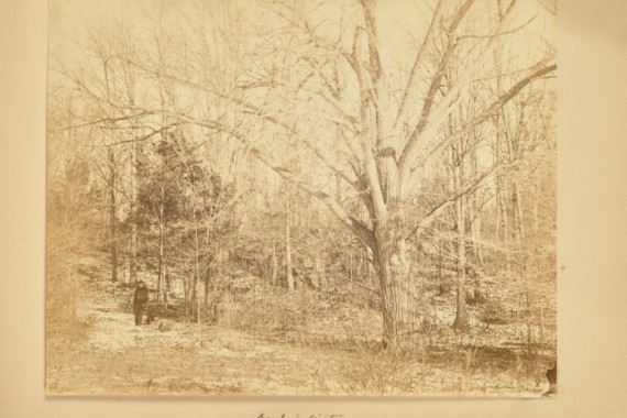Thomas E. Jevons