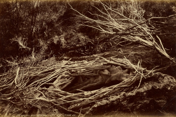 Valentine and Sons