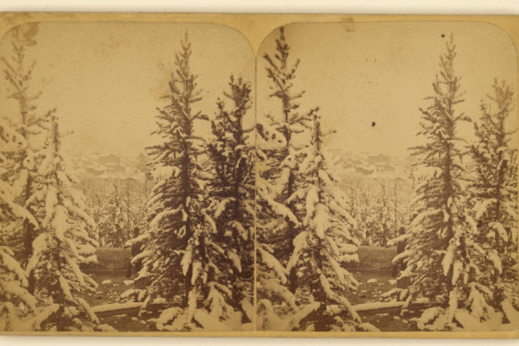 Wellington O. Luke and Dansford Noble Wheeler