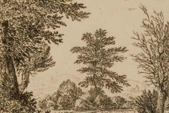 Willem Bemmel