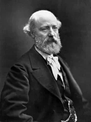 Eugene Viollet-Le-Duc (1814-1879) fransk arkitekt som restaurerade en mängd monument (Notre Dame of Paris, Pierrefonds slott), foto av Nadar (1820-1910) 1878