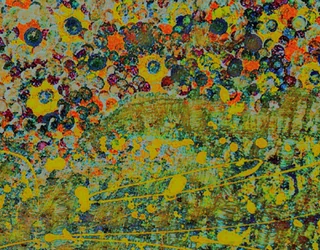 Blomstersymfoni.