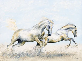 Arabiska riddare