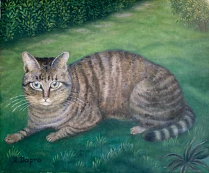 Katten Julia