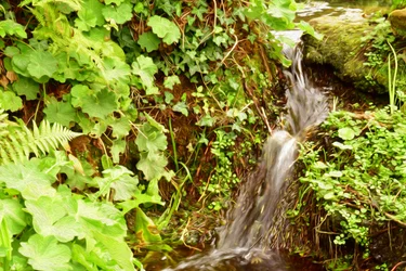 Oljemålning i naturlandskapsstil