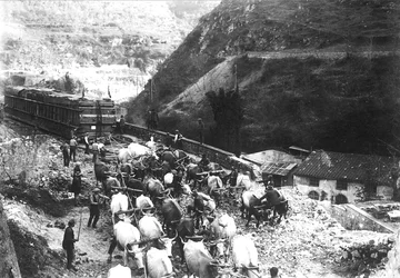 Ett stort antal oxar transporterar en enorm konvoj med marmor som just har förts ner till dalen från ett stenbrott i Apuan (svart/vitt foto).