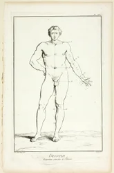 Design: Allmänna proportioner hos mannen, från Encyclopédie
