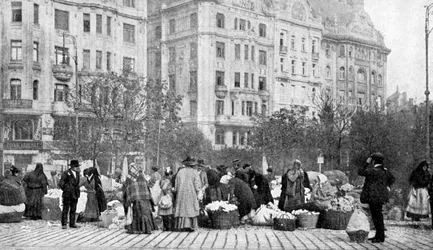 Stor blomstermarknad, Budapest, Ungern, 1922.