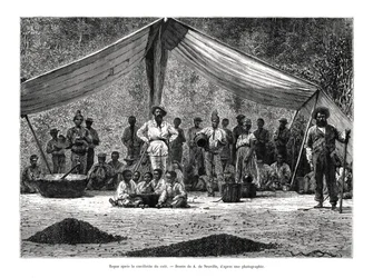 En måltid efter kaffesamlingen, Brasilien, 1800-talet