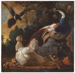 En påfågel, fjäderfä och en skata i ett landskap, 1720