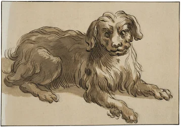 Långhårig hund