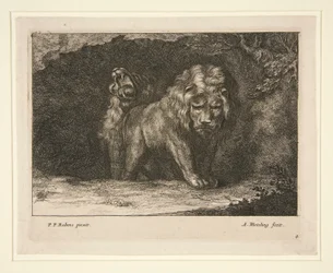 Lions. Från serien