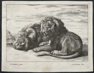 Olika Lions