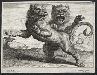 Olika Lions