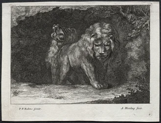 Olika Lions