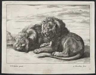 Olika Lions.
