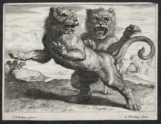 Olika Lions.