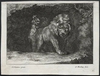 Olika Lions.