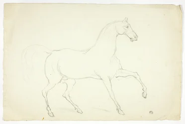 Hingst