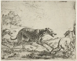 Fox och de tre hundarna