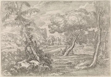 Skogbevuxen landskap