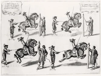 Illustration från en ridhandbok, graverad av Peeter Clouwet (1629-70), 1658