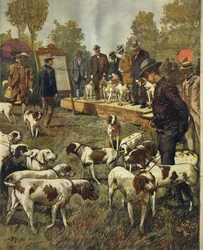 Hundutställning och fältförsök med jakthundar i San Siro (Milano), av Achille Beltrame (1871-1945), från La Domenica del Corriere, 2 juli 1899