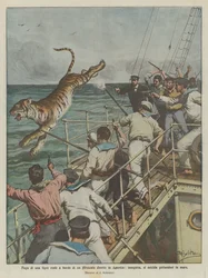 En kunglig tigers flykt ombord på ett ångfartyg på väg till Amerika, förföljd, begår självmord genom att hoppa i havet