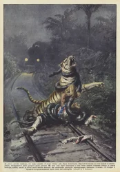 Mitt i den indiska skogen väntar en man på tåget nära järnvägslinjen