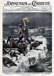 Sälfiskare, av vilka några dog, förblev strandade på havets drivande is. Ill. de Beltrame. "" La Domenica del corriere"". 1914-04-12-19.
