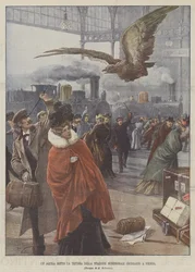 En örn under baldakinen på den södra stationen (Sudbahn) i Wien