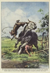 En försynens tirade dorecchi