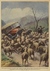 Unecatombe av får inträffade på vägen som förbinder Bra med Alba, i provinsen Cuneo