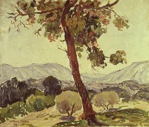 Skogbevuxen landskap
