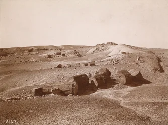 I den förstenade skogen (allmän vy, Middle Park),ca 1895-1897 (foto)